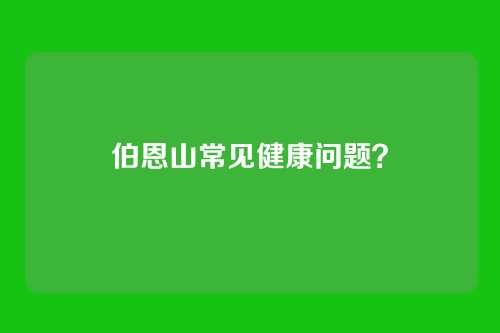 伯恩山常见健康问题？