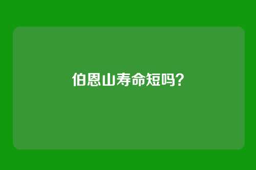 伯恩山寿命短吗？