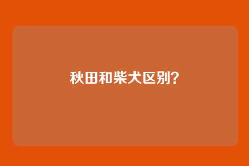 秋田和柴犬区别？