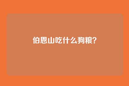 伯恩山吃什么狗粮？