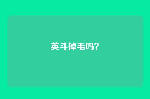 英斗掉毛吗?