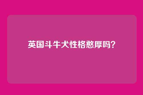 英国斗牛犬性格憨厚吗?