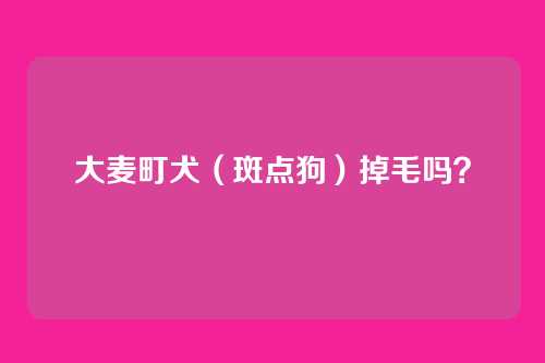 大麦町犬（斑点狗）掉毛吗？