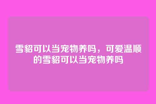 雪貂可以当宠物养吗,可爱温顺的雪貂可以当宠物养吗