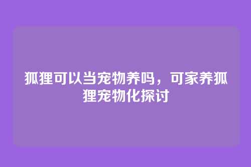 狐狸可以当宠物养吗,可家养狐狸宠物化探讨