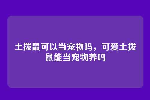 土拨鼠可以当宠物吗,可爱土拨鼠能当宠物养吗