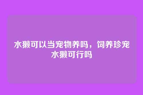 水獭可以当宠物养吗,饲养珍宠水獭可行吗
