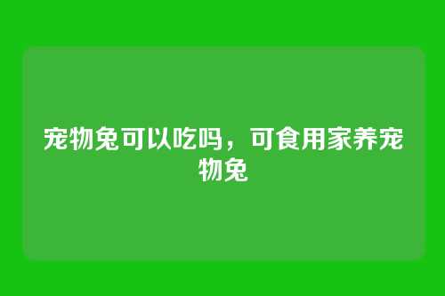 宠物兔可以吃吗,可食用家养宠物兔