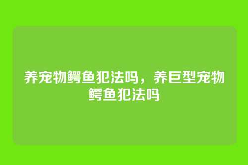 养宠物鳄鱼犯法吗,养巨型宠物鳄鱼犯法吗
