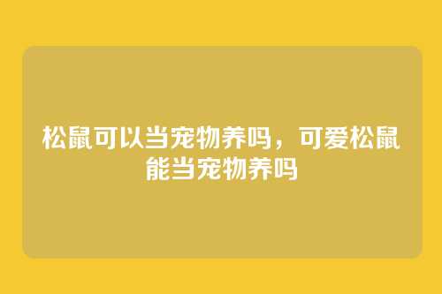 松鼠可以当宠物养吗,可爱松鼠能当宠物养吗