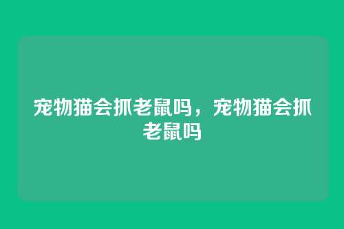 宠物猫会抓老鼠吗,宠物猫会抓老鼠吗