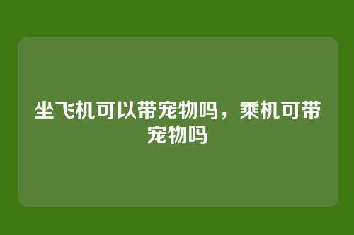 坐飞机可以带宠物吗,乘机可带宠物吗