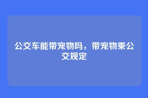 公交车能带宠物吗,带宠物乘公交规定