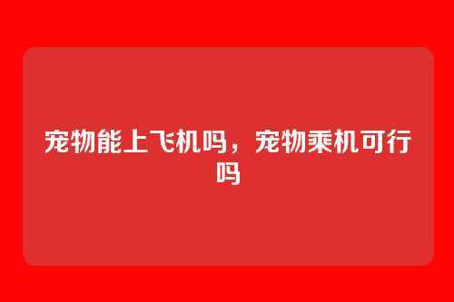 宠物能上飞机吗,宠物乘机可行吗
