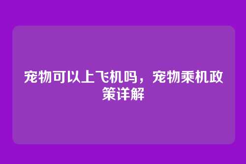 宠物可以上飞机吗,宠物乘机政策详解
