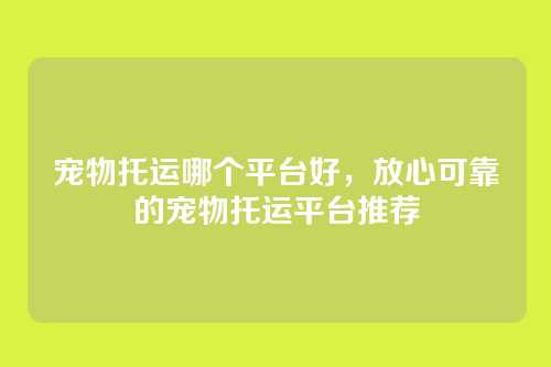 宠物托运哪个平台好,放心可靠的宠物托运平台推荐