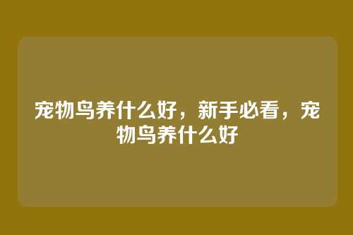 宠物鸟养什么好,新手必看,宠物鸟养什么好