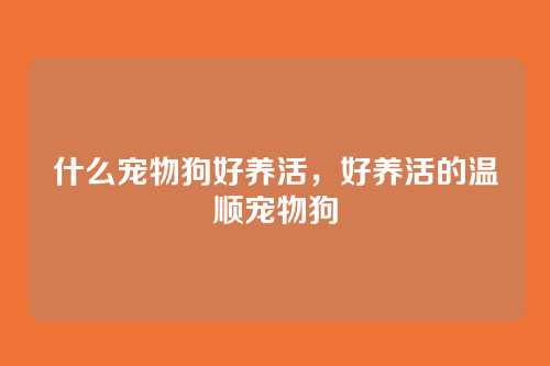 什么宠物狗好养活,好养活的温顺宠物狗