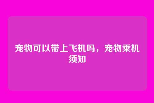 宠物可以带上飞机吗,宠物乘机须知