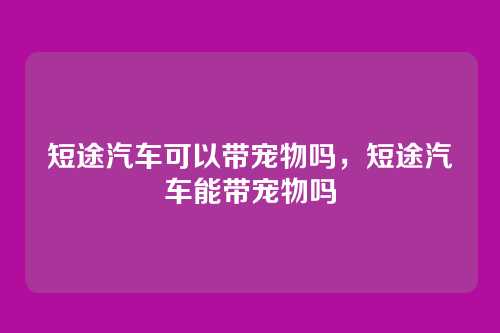 短途汽车可以带宠物吗,短途汽车能带宠物吗