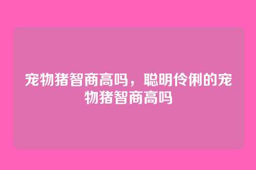 宠物猪智商高吗,聪明伶俐的宠物猪智商高吗