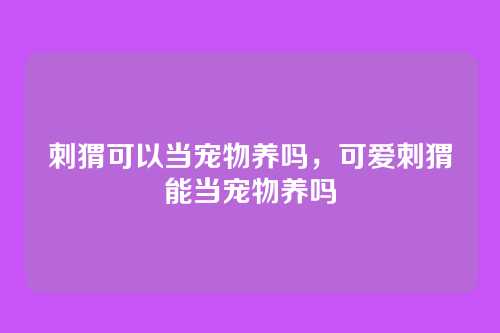 刺猬可以当宠物养吗,可爱刺猬能当宠物养吗