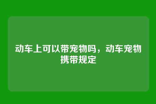动车上可以带宠物吗,动车宠物携带规定