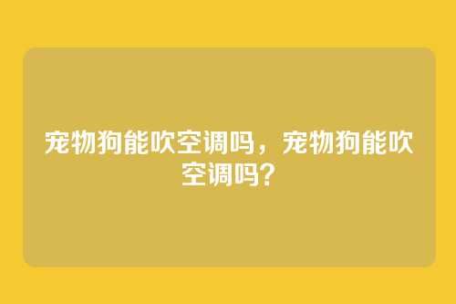 宠物狗能吹空调吗,宠物狗能吹空调吗?