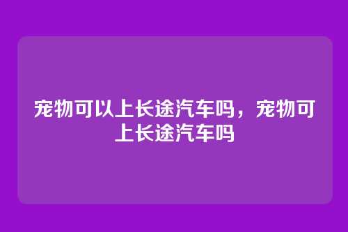 宠物可以上长途汽车吗,宠物可上长途汽车吗