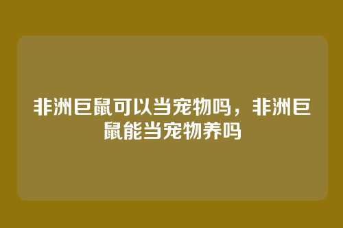 非洲巨鼠可以当宠物吗，非洲巨鼠能当宠物养吗