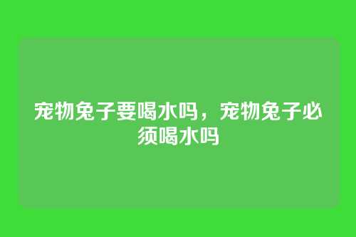 宠物兔子要喝水吗,宠物兔子必须喝水吗