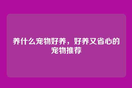 养什么宠物好养，好养又省心的宠物推荐