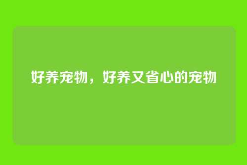 好养宠物，好养又省心的宠物