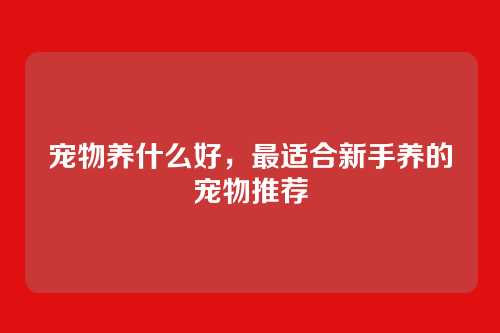 宠物养什么好，最适合新手养的宠物推荐