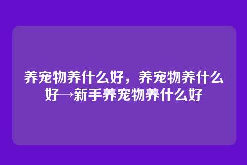养宠物养什么好，养宠物养什么好→新手养宠物养什么好