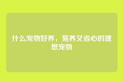 什么宠物好养，易养又省心的理想宠物