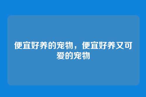 便宜好养的宠物，便宜好养又可爱的宠物