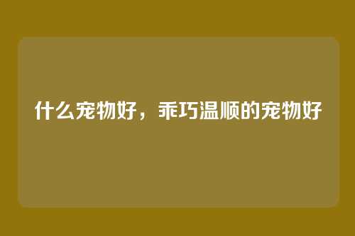 什么宠物好，乖巧温顺的宠物好