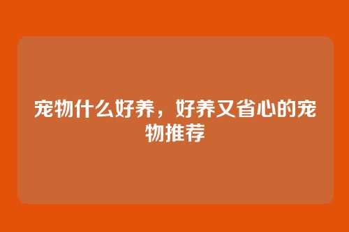 宠物什么好养，好养又省心的宠物推荐