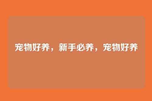 宠物好养，新手必养，宠物好养