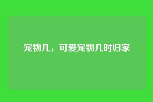 宠物几，可爱宠物几时归家