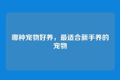 哪种宠物好养，最适合新手养的宠物
