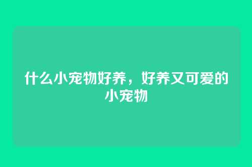 什么小宠物好养，好养又可爱的小宠物