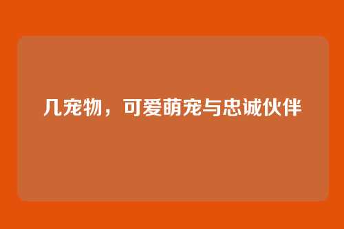 几宠物,可爱萌宠与忠诚伙伴
