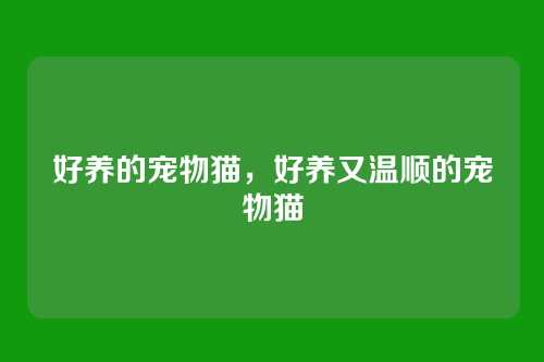好养的宠物猫,好养又温顺的宠物猫