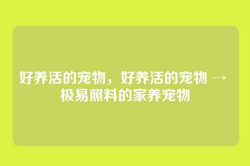 好养活的宠物,好养活的宠物 → 极易照料的家养宠物
