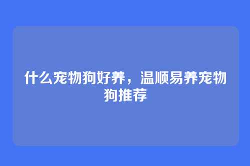什么宠物狗好养,温顺易养宠物狗推荐