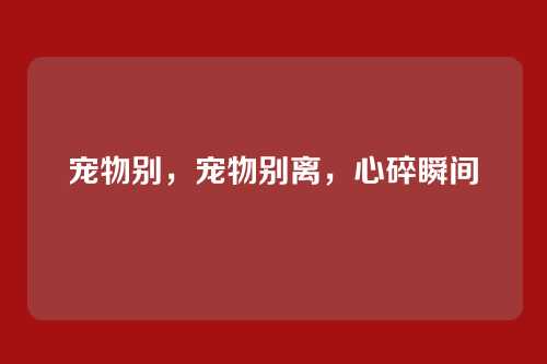 宠物别,宠物别离,心碎瞬间