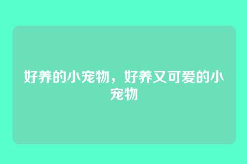 好养的小宠物,好养又可爱的小宠物