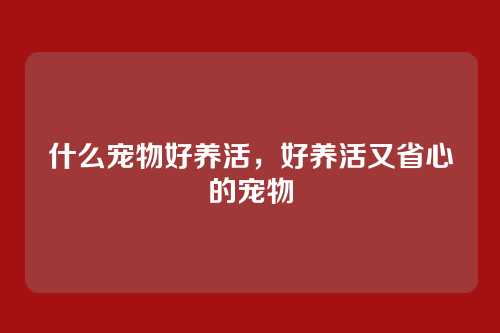 什么宠物好养活,好养活又省心的宠物